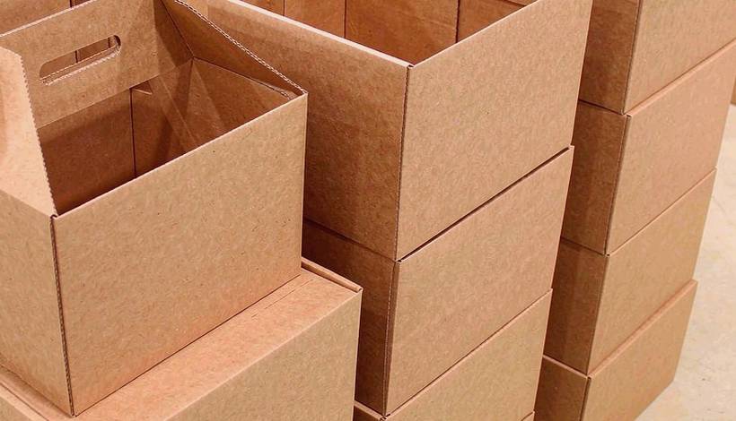 Icy Fruit Blend Pods for Export: Quality Control Steps — Icy Fruit Blend Pods Bulk