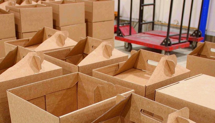 Mistakes Importers Should Avoid — Icy Fruit Blend Pods Orders — Icy Fruit Blend Pods Bulk