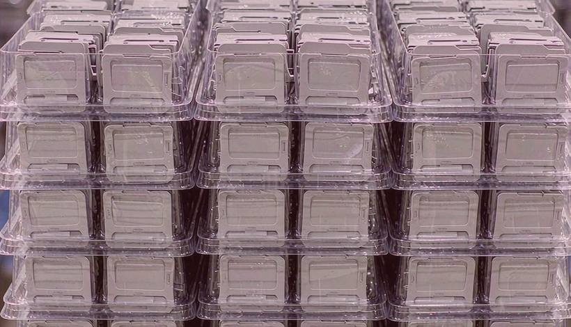 Payment Terms for Gift Retailers — OEM Icy Fruit Blend Pods — Icy Fruit Blend Pods Bulk